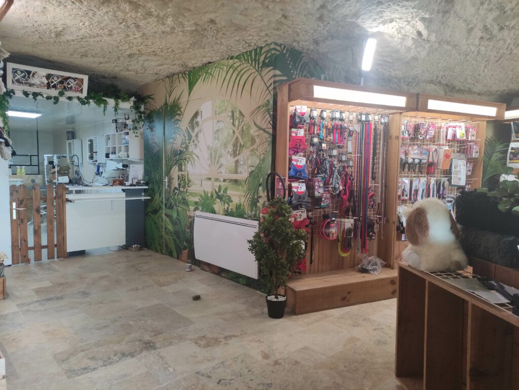 Canichic Toilettage Canin Saint Pierre Des Corps IMG 20230107 114534