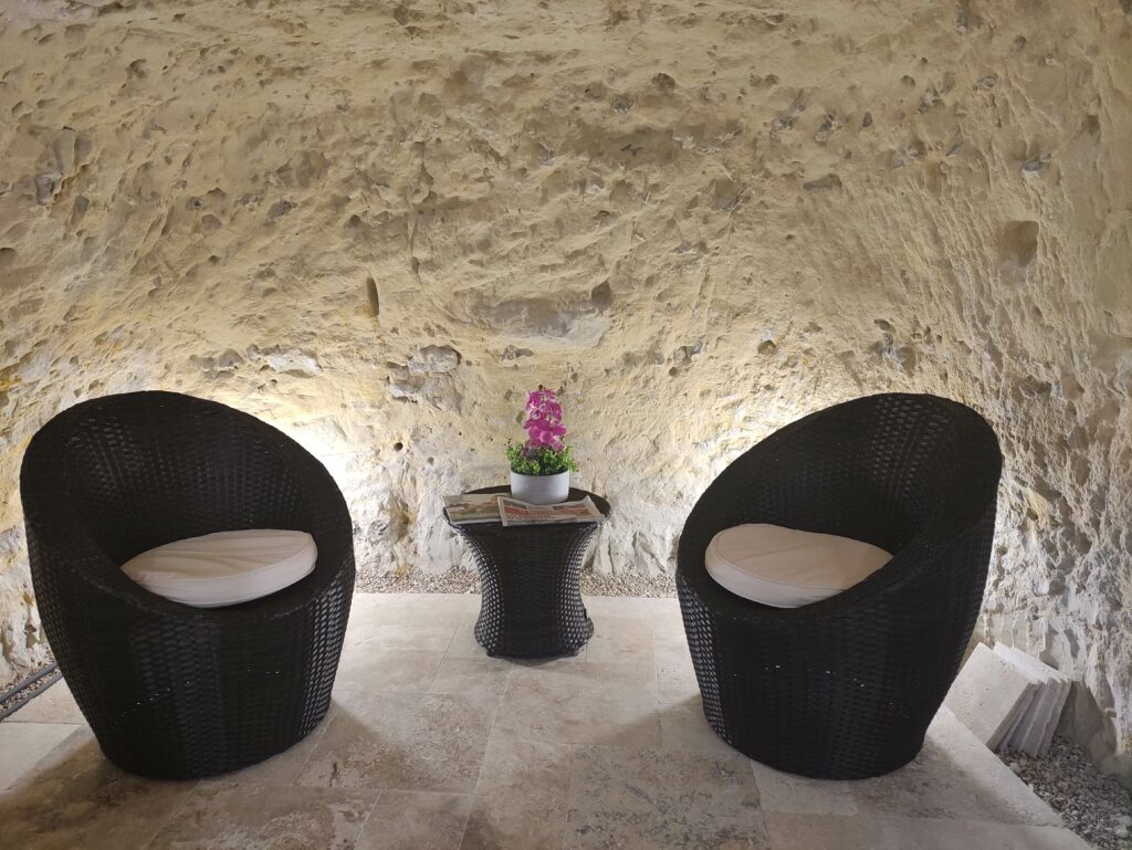 Canichic Toilettage Canin Saint Pierre Des Corps IMG 20230107 114654