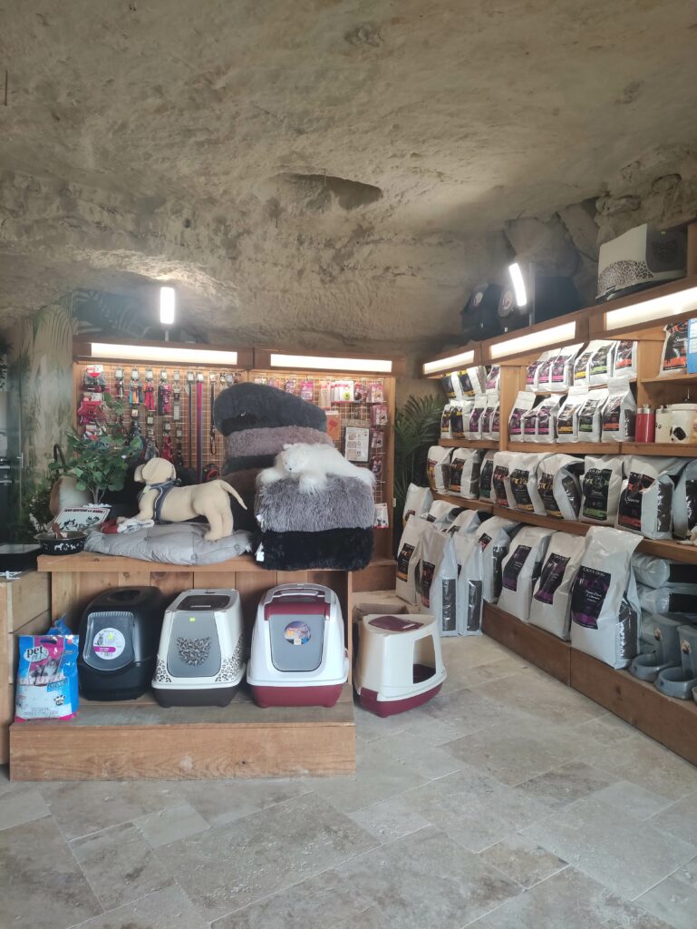 Canichic Toilettage Canin Saint Pierre Des Corps IMG 20230107 114826