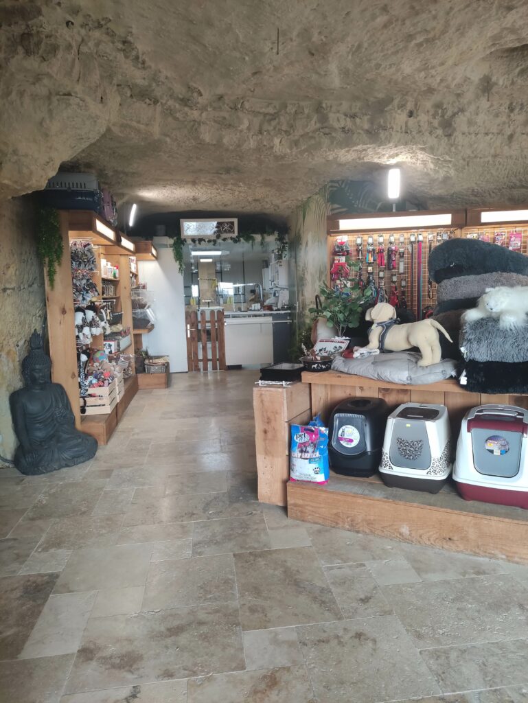 Canichic Toilettage Canin Saint Pierre Des Corps IMG 20230107 114833